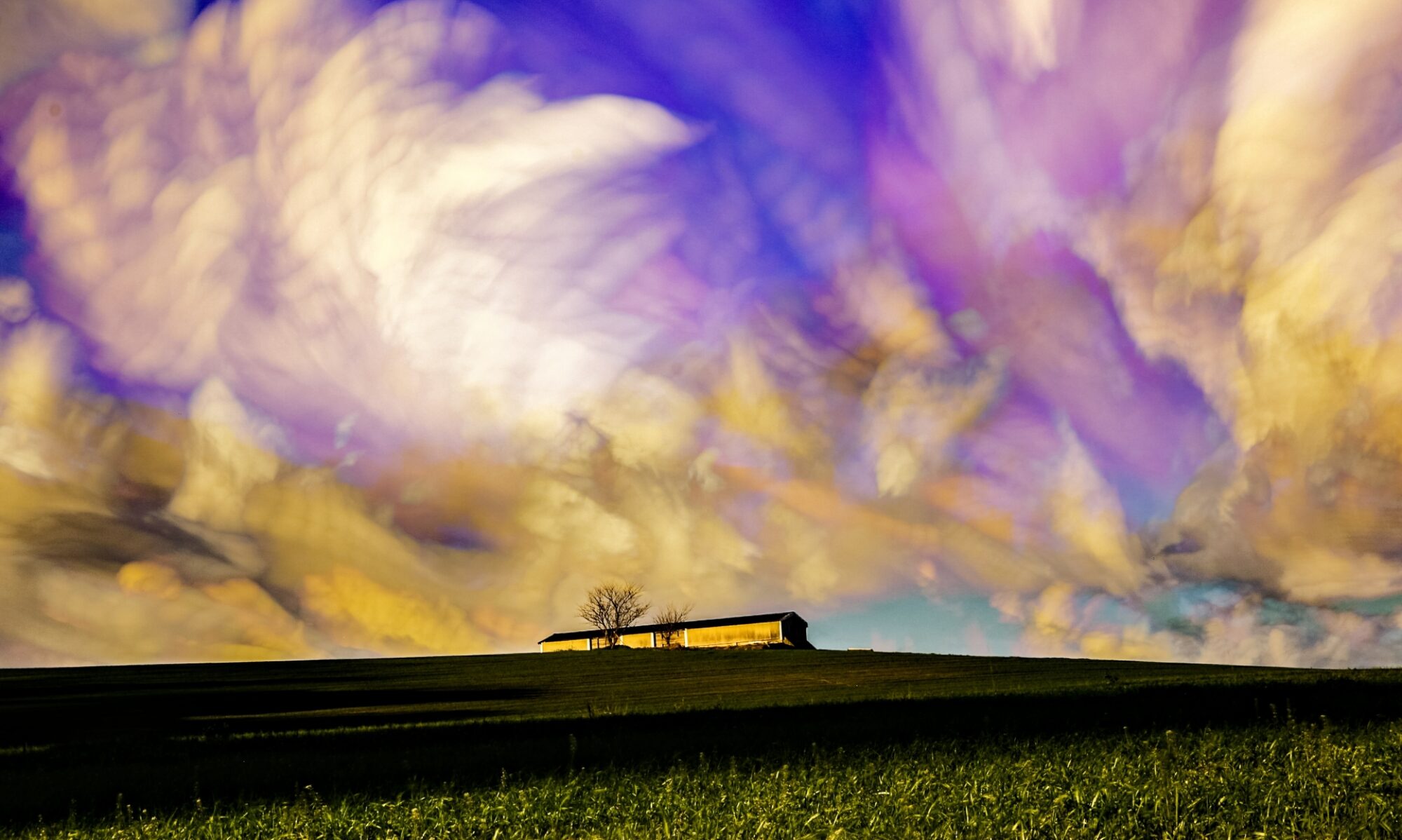 【ビジネス】× イロドリ